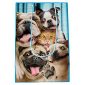 Hunde und ein Foto der Katzengruppe Mittlere Geschenktüte (Rückseite)