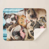 Hunde und ein Foto der Katzengruppe Sherpadecke (Vorderseite (Horizontal))