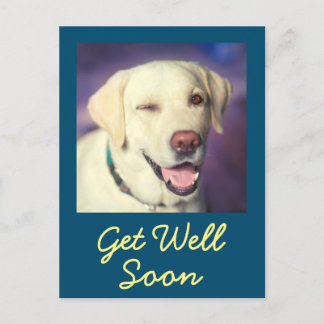 Hunde und Ermutigung werden gut Postkarte