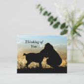Hunde und Frauen Sonnenuntergang Silhouette Postkarte (Stehend Vorderseite)