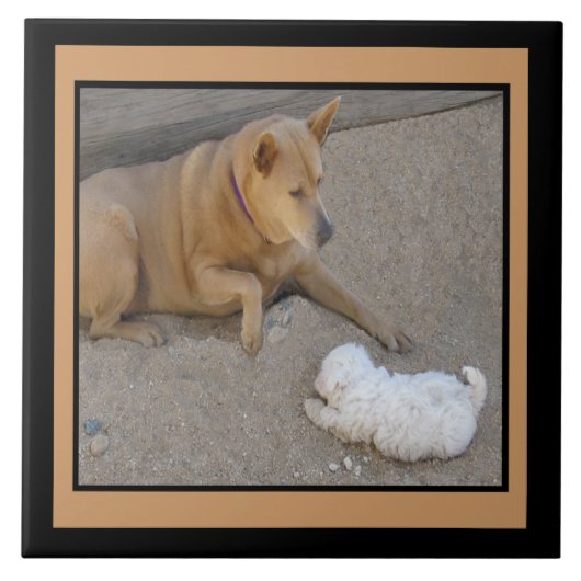 Hunde und Freundschafts-Fliese Fliese (Vorderseite)