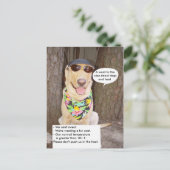 Hunde und Hitze Postkarte (Stehend Vorderseite)