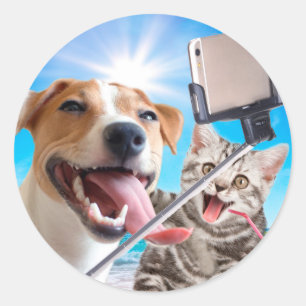 Hunde und Katze fotografieren sich selbst am Telef Runder Aufkleber