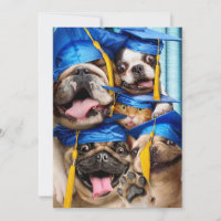 Hunde- und Katzen-Absolventen im Fotobooth