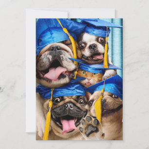 Hunde- und Katzen-Absolventen im Fotobooth Einladung