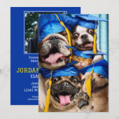 Hunde- und Katzen-Absolventen im Fotobooth Einladung (Vorne/Hinten)