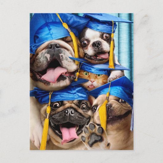 Hunde- und Katzen-Absolventen im Fotobooth Einladungspostkarte (Vorderseite)