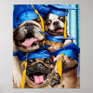 Hunde- und Katzen-Absolventen im Fotobooth Poster