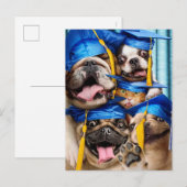 Hunde- und Katzen-Absolventen im Fotobooth Postkarte (Vorne/Hinten)