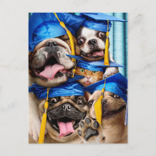 Hunde- und Katzen-Absolventen im Fotobooth Postkarte