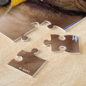 Hunde- und Katzen-Absolventen im Fotobooth Puzzle (Seite)