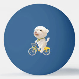 Hunde und Katzen Fahrradfahren am Meer Tischtennisball