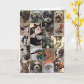 Hunde-und Katzen-Gruß-Karte Karte (Gelbe Blume)