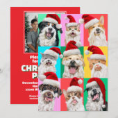 Hunde und Katzen mit Santa-Bart Einladung (Vorne/Hinten)