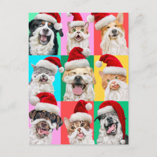 Hunde und Katzen mit Santa Bart Einladungspostkarte