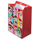 Hunde und Katzen mit Santa Bart Mittlere Geschenktüte (Vorderseite Schrägansicht)