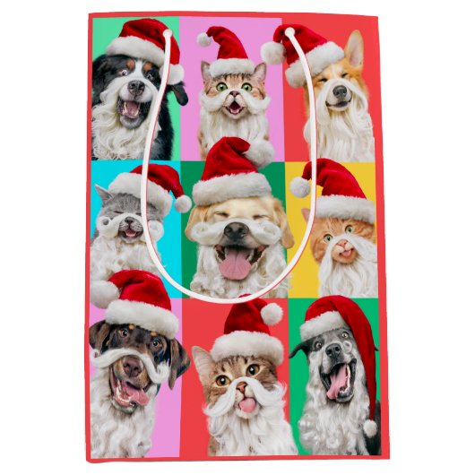 Hunde und Katzen mit Santa Bart Mittlere Geschenktüte (Vorderseite)
