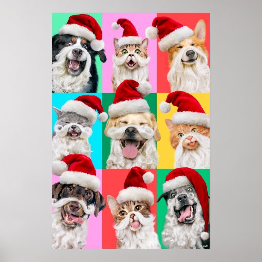 Hunde und Katzen mit Santa Bart Poster (Vorne)