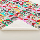 Hunde und Katzen mit Santa Bart Sherpadecke (3/4)