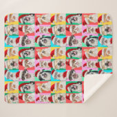 Hunde und Katzen mit Santa Bart Sherpadecke (Vorderseite (Horizontal))