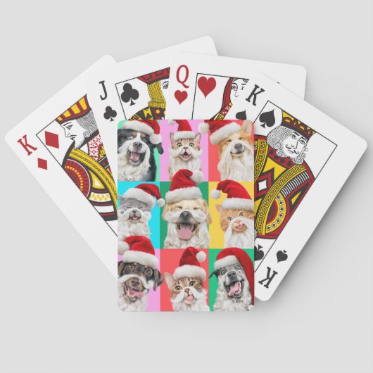 Hunde und Katzen mit Santa Bart Spielkarten (Rückseite)