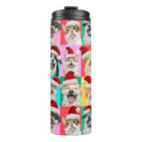 Hunde und Katzen mit Santa Bart