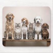 Hunde und Katzen mit skurrilen Brillen Mousepad (Vorne)