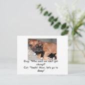 Hunde und Katzen Postkarte (Stehend Vorderseite)