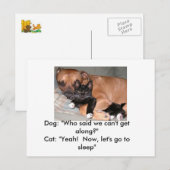Hunde und Katzen Postkarte (Vorne/Hinten)