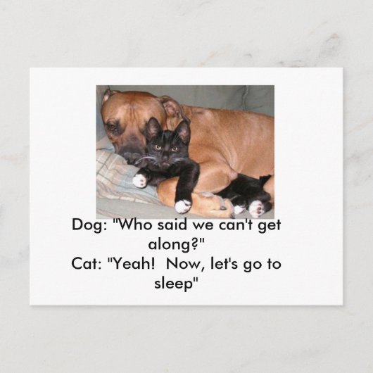 Hunde und Katzen Postkarte (Vorderseite)