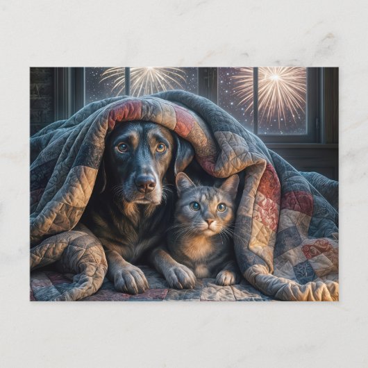 Hunde und Katzen schauen Feuerwerke Postkarte (Vorderseite)