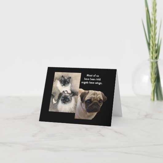 Hunde und Katzen Tierengel Faltkarte Karte (Vorderseite)