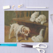Hunde und Katzen von Arthur Heyer Seidenpapier (Handwerk)