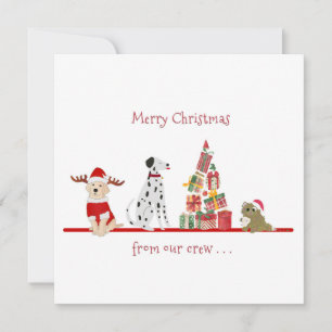 Hunde und Katzen Weihnachten mit Geschenkbaum