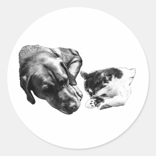 Hunde- und Katzenruhen mit einfarbigem Aufkleber (Vorderseite)