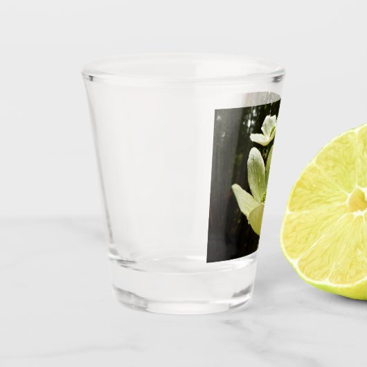 Hunde und Redwoods Schnapsglas (Links)