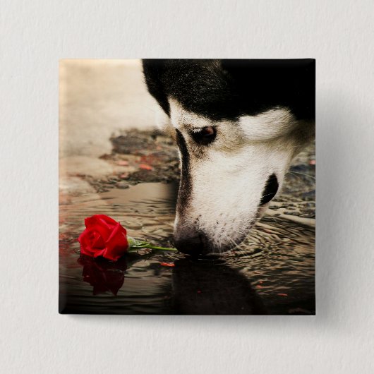 Hunde-und Rosen-Knopf Button (Vorderseite)