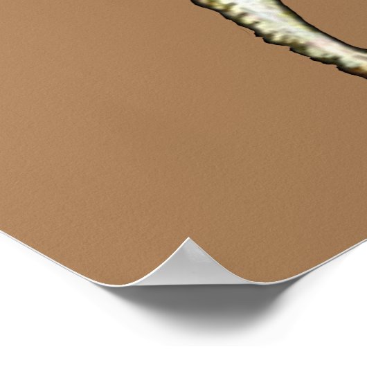 Hunde und Schnecke Poster (Ecke)