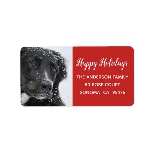 Hunde und Schnee Rücksendeadresse Adressaufkleber (Vorne)