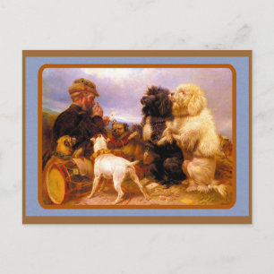 Hunde und Seemann beim Kartenspiel Postkarte