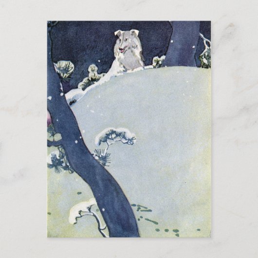 Hunde unter Schneekiefern Postkarte (Vorderseite)