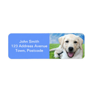 Hunde verlassen Tatzendrucke auf Ihrem Herzen