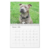 Hunde verschiedener Rassen 2019, Kalender (Feb 2026)