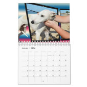 Hunde verschiedener Rassen 2019, Kalender (Jan 2026)