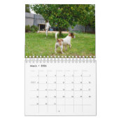 Hunde verschiedener Rassen 2019, Kalender (Mär 2026)