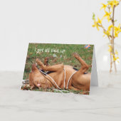 Hunde verspäteten Geburtstag Karte (Gelbe Blume)