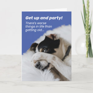 Hunde verstecken Gesicht - es gibt schlimmere Ding Karte