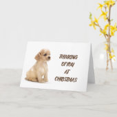 HUNDE, VETERINÄRE UND HUNDE WALKER KARTE (Gelbe Blume)