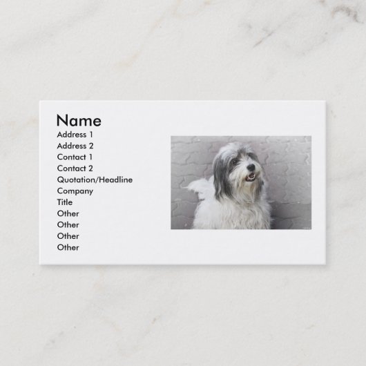 Hunde Visitenkarte (Vorderseite)