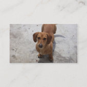 Hunde-Visitenkarte Visitenkarte (Rückseite)